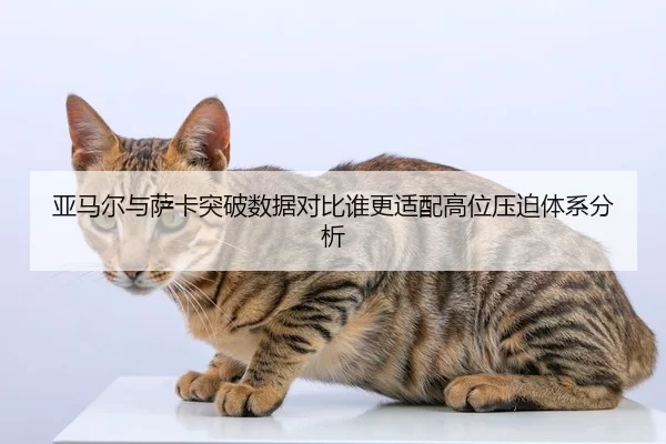亚马尔与萨卡突破数据对比谁更适配高位压迫体系分析