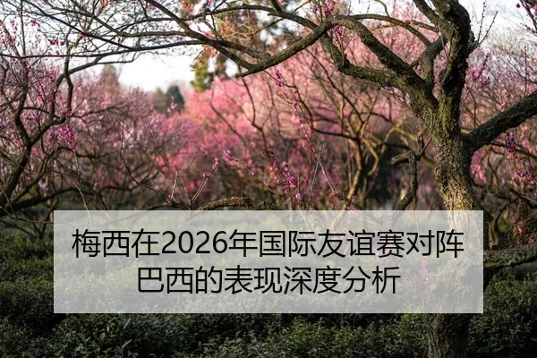 梅西在2026年国际友谊赛对阵巴西的表现深度分析
