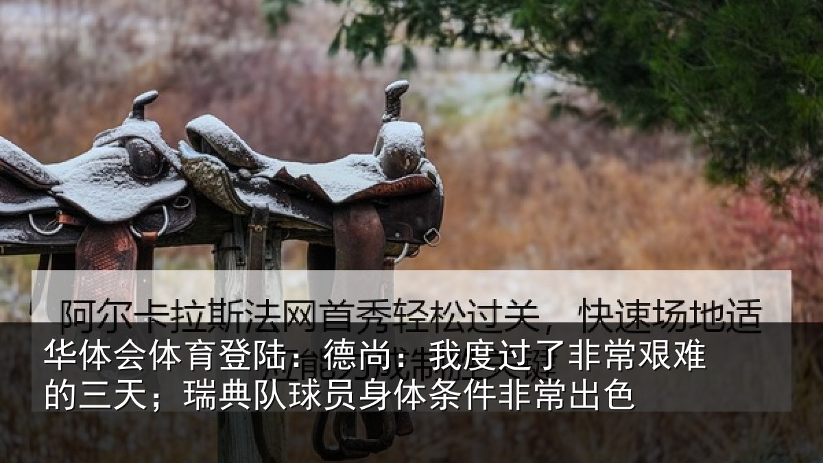 华体会体育登陆:德尚:我度过了非常艰难的三天;瑞典队球员身体条件非常出色