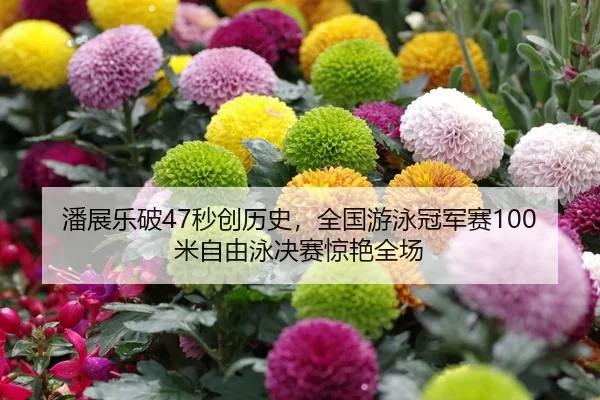 潘展乐破47秒创历史，全国游泳冠军赛100米自由泳决赛惊艳全场