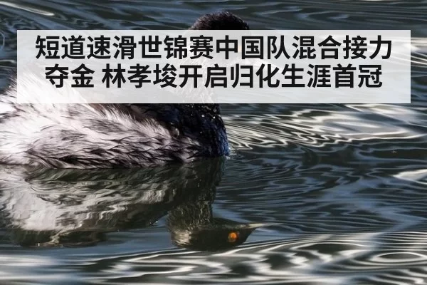 短道速滑世锦赛中国队混合接力夺金 林孝埈开启归化生涯首冠