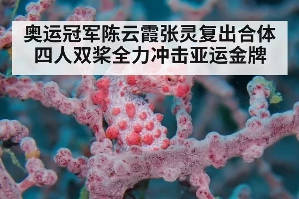 奥运冠军陈云霞张灵复出合体 四人双桨全力冲击亚运金牌